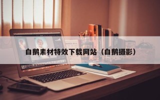 济南白鹅素材特效下载网站（白鹅摄影）